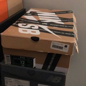 Brand new Nike Sb